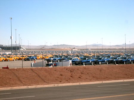 Shelby GTs awaiting delivery